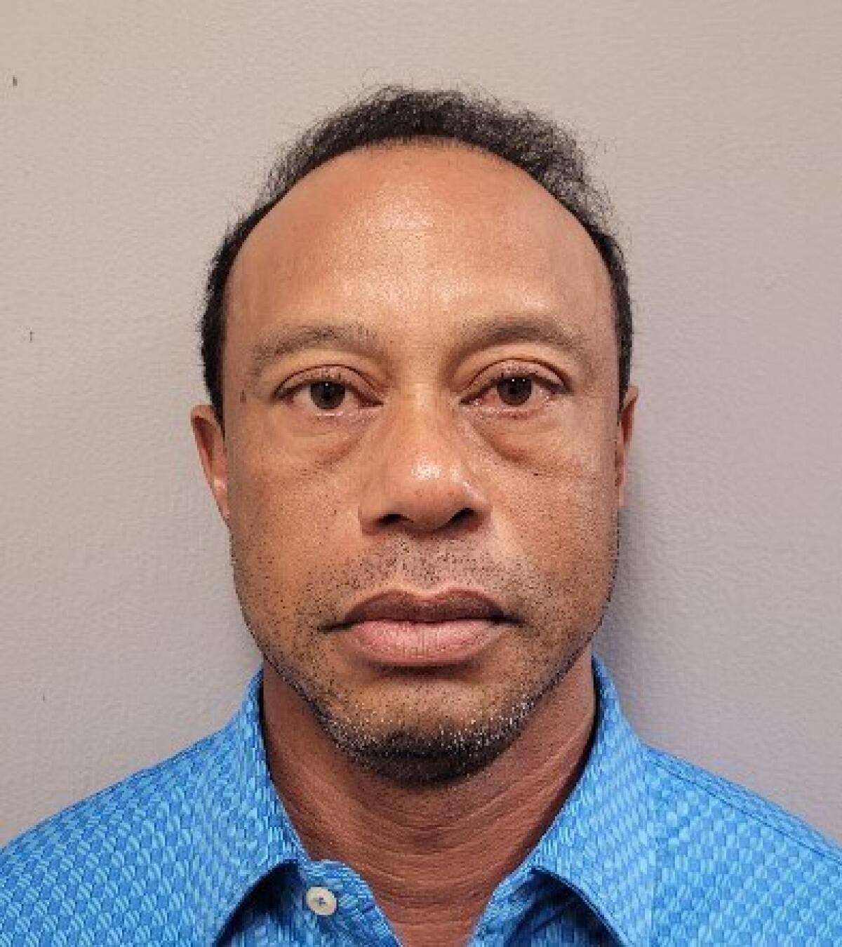 Tiger Woods mugshot photo after arrest
