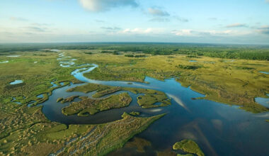 Yahoo entertainment home