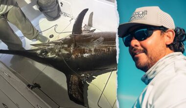 Florida Keys captain lands 480-pound swordfish with Pennsylvania family