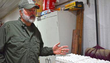 John and Kristy Clegg raise quail at their farm east of Jacksonville. They raise the birds through every stage, from eggs to adults. 