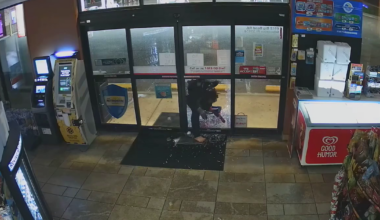 Barefoot teen breaks into gas station using rock: HCSO
