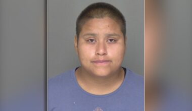 Woman arrested after stealing car from Publix parking lot: SPD