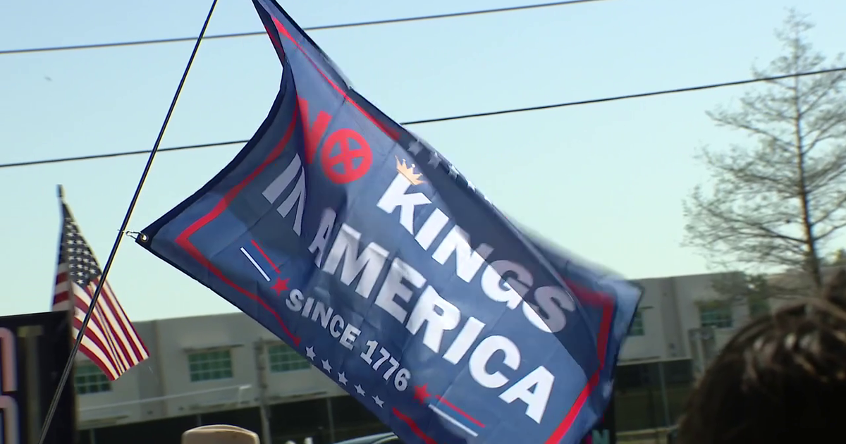 “No Kings Day" protests draw thousands across Tampa Bay for the third time