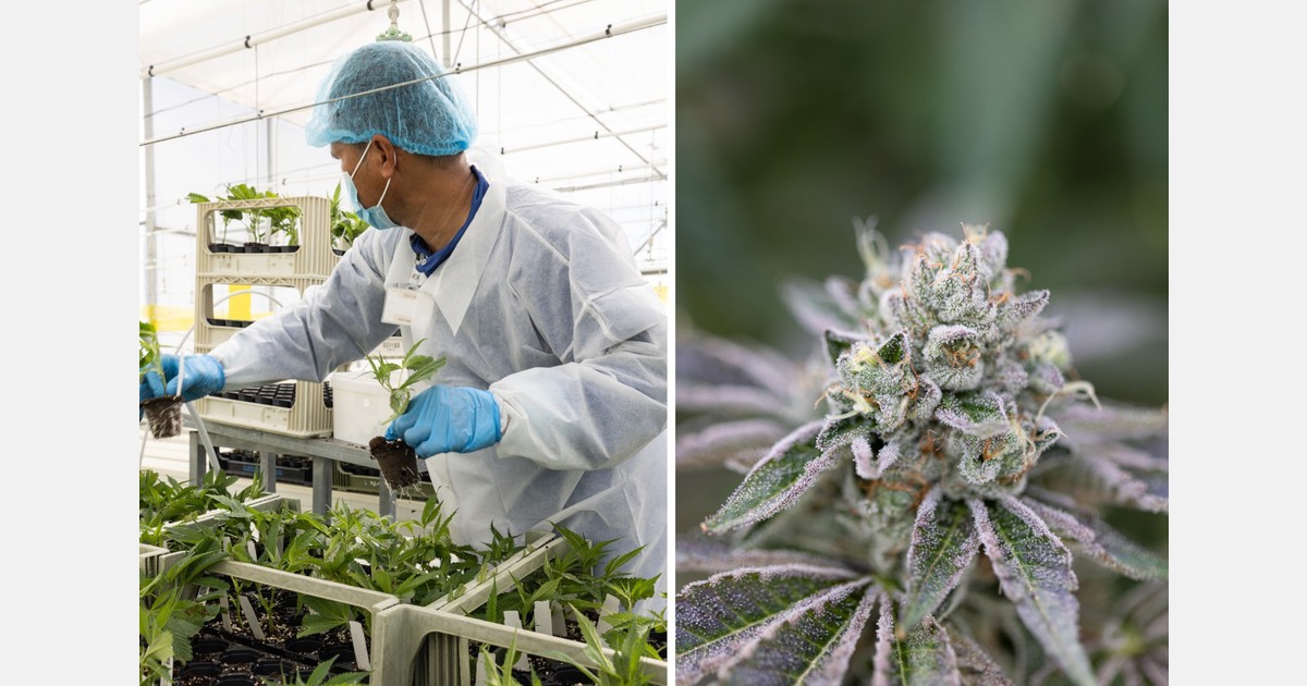 Curaleaf opens new Cape Coral dispensary