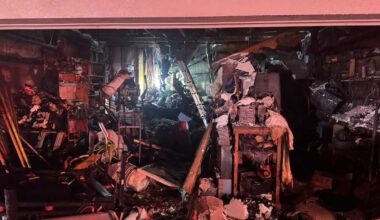 Firefighters rescue person and dogs from Florida house fire