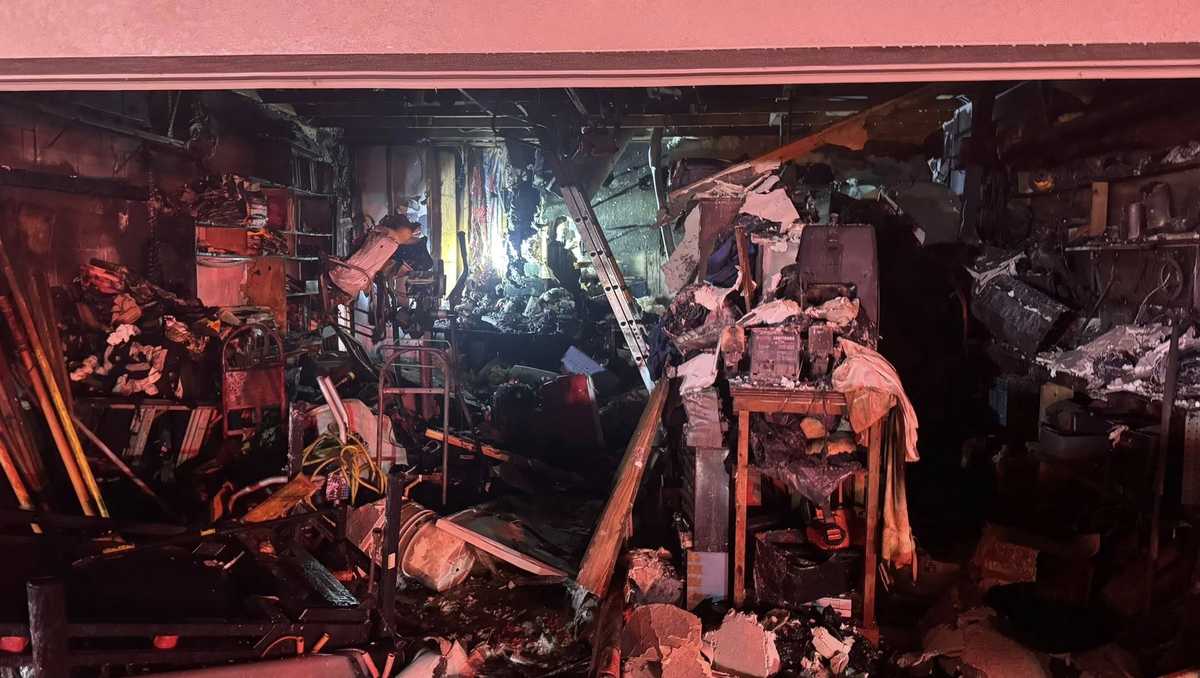 Firefighters rescue person and dogs from Florida house fire