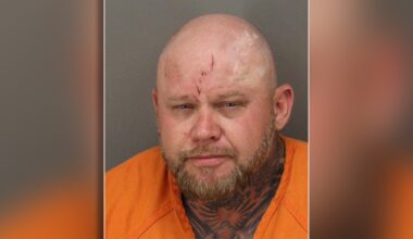Man flees traffic stop, crashes into building: PCSO