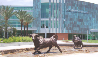 Florida universities remove sociology from general education courses