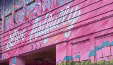 St. Petersburg showcases murals with "Paint It Pink" project, transforming aging buildings into artwork