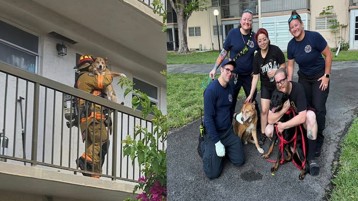 2 dogs rescued from Plantation apartment fire