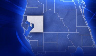 Man pushing a woman in a wheelchair killed in Tampa crash: Police