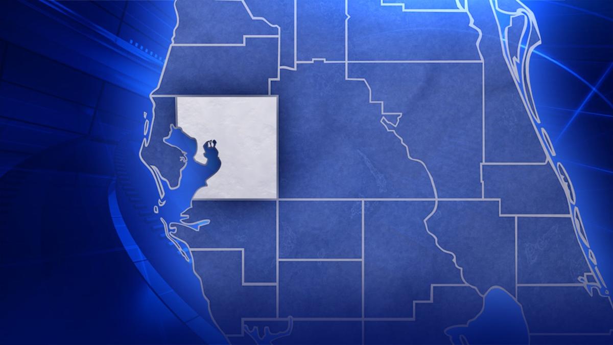 Man pushing a woman in a wheelchair killed in Tampa crash: Police