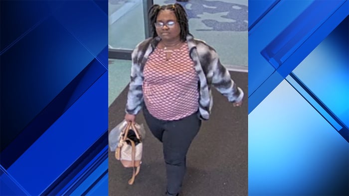 Deputies search for missing woman last seen at Fort Lauderdale-Hollywood International Airport