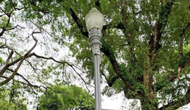 Endorsement: Coral Gables referendum 7