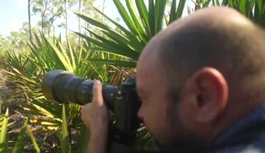 Photographer finds purpose in Florida's nature