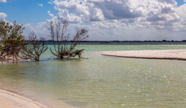 One Of America's Best Beaches In 2026 Is A Breathtaking Florida Island State Park With Unspoiled Shores