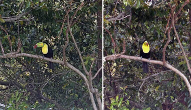 Yahoo lifestyle home