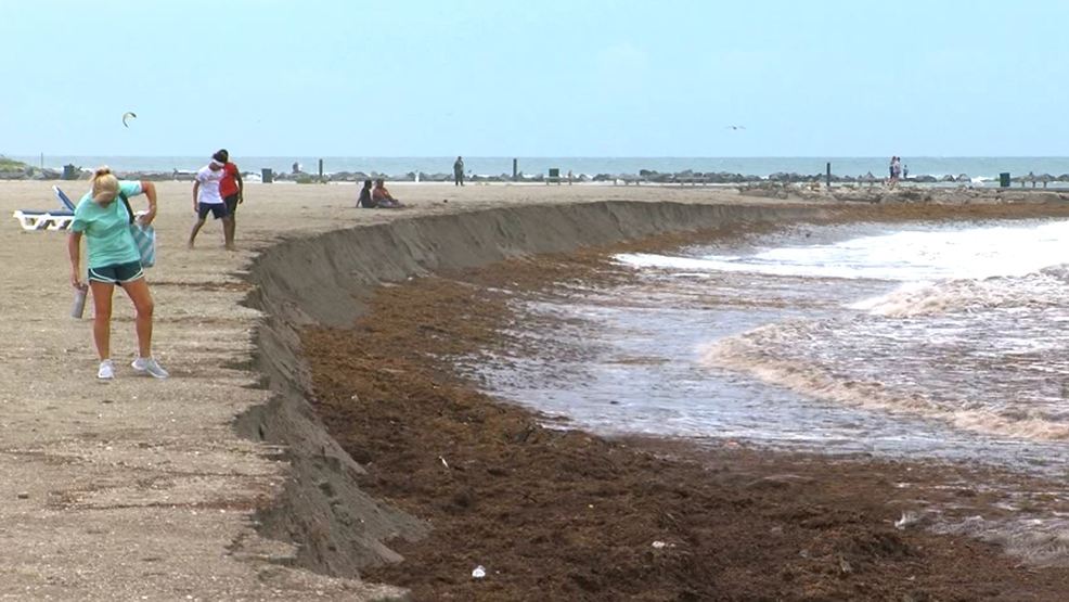 { }New closures at Fort Pierce Jetty Park start this weekend for erosion project. (WPEC){ }{p}{/p}