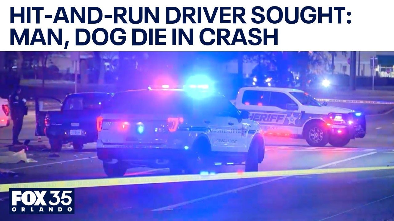 Driver sought in Orlando hit-run-crash killing man, dog 