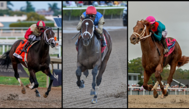 2026 Florida Derby Cheat Sheet