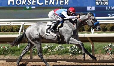 San Felipe and Tampa Bay Derby top picks