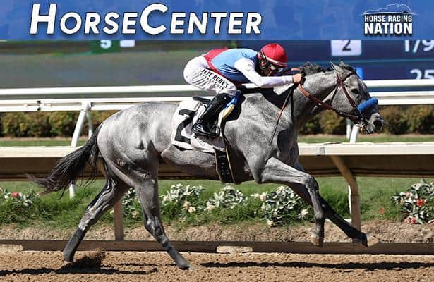 San Felipe and Tampa Bay Derby top picks