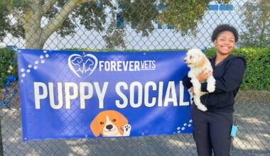 Puppies to gather for St. Pawtrick’s Day