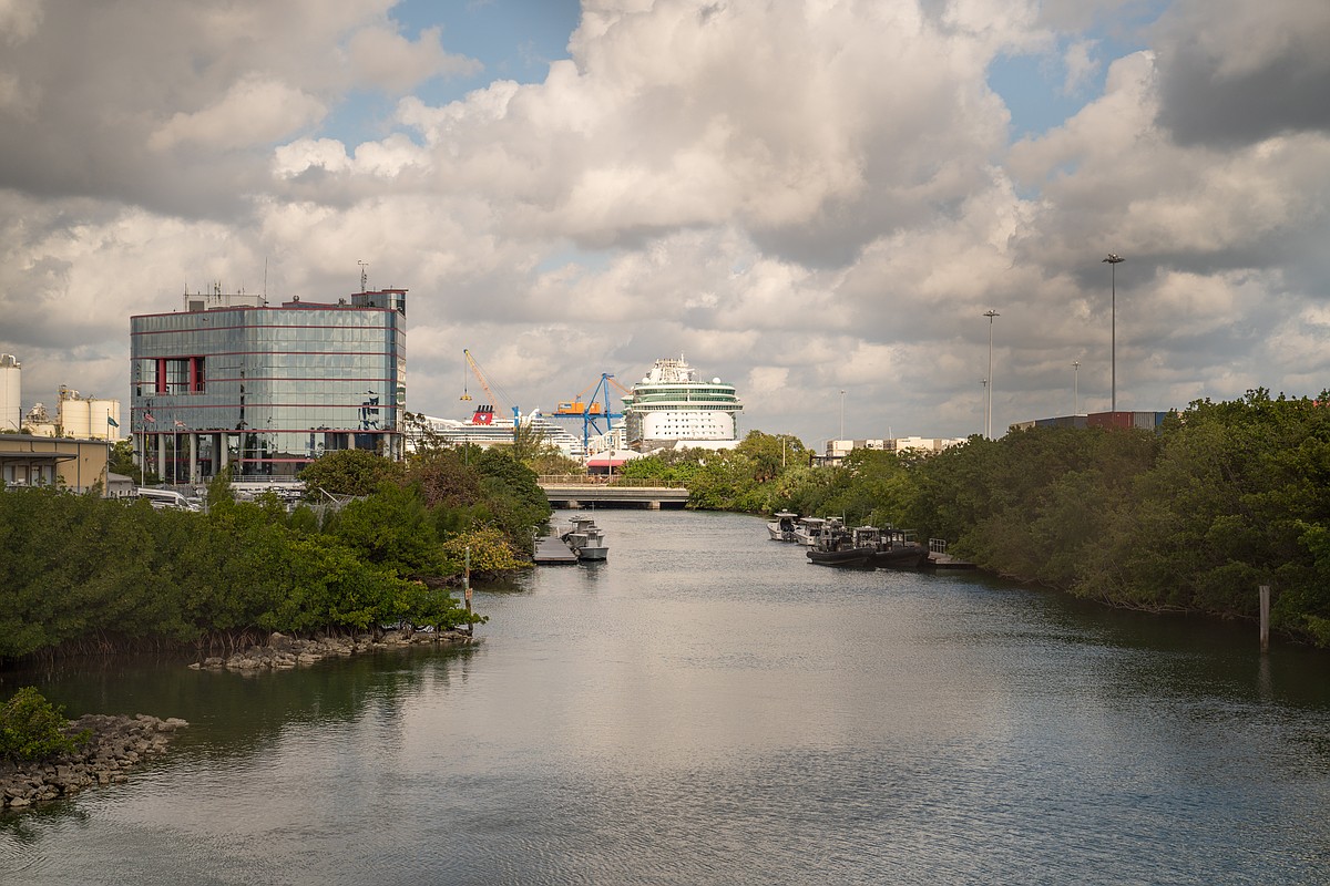 Army Corps project could wipe out one of Florida's last thriving coral reefs