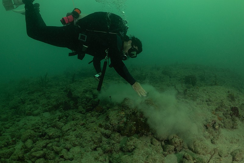 Fabrizio Lepiz Conejo of the University of Miami Coral Reef Futures Lab surveys sedimentation from an unrelated dredging project on a reef just outside Port Everglades.