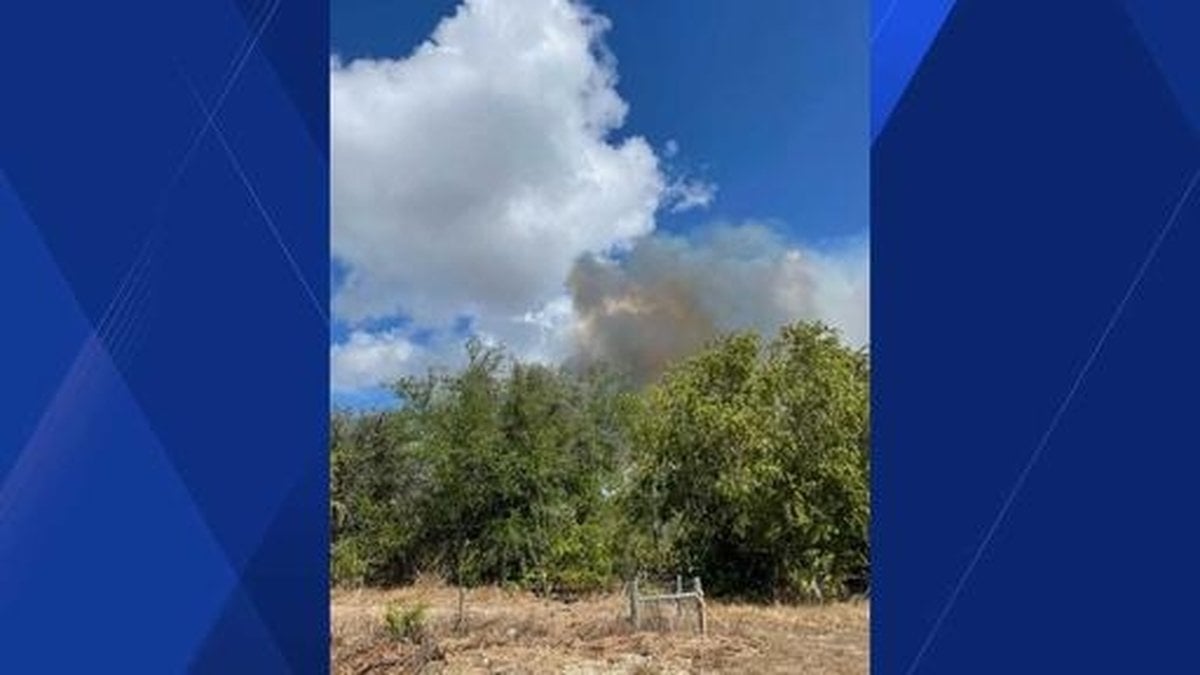 Cape Coral Wildfire Forces Closures Amid Drought Emergency
