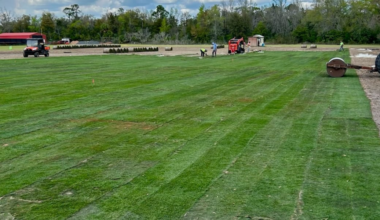 Sod at Doak Campbell Stadium to be installed in Dixie County stadium