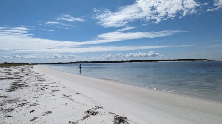 An overview of the Shell Key Preserve shoreline