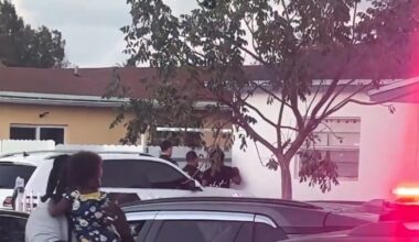 2-year-old airlifted to hospital after being attacked by 2 pit bulls in Miami Gardens home - WSVN 7News | Miami News, Weather, Sports