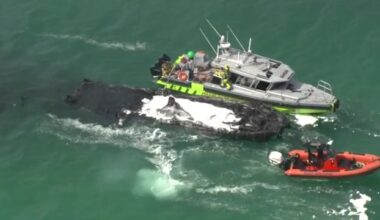 Crews put out boat fire off Miami Beach; tourists share relief after escaping unharmed - WSVN 7News | Miami News, Weather, Sports