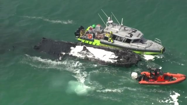 Crews put out boat fire off Miami Beach; tourists share relief after escaping unharmed - WSVN 7News | Miami News, Weather, Sports