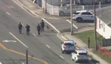 Man in custody after being spotted in stolen dump truck in Miami — possibly naked - WSVN 7News | Miami News, Weather, Sports