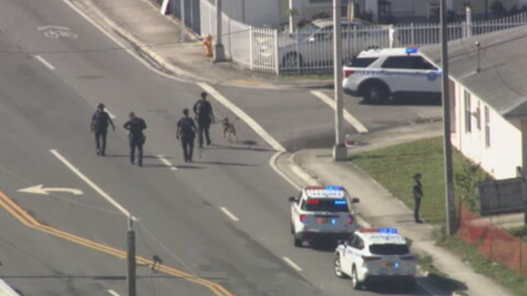 Man in custody after being spotted in stolen dump truck in Miami — possibly naked - WSVN 7News | Miami News, Weather, Sports