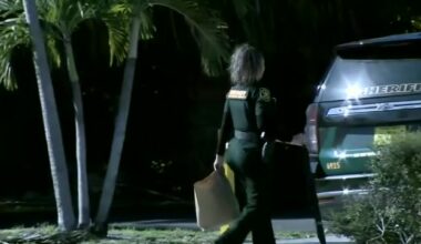 BSO: Woman fatally struck by hit-and-run driver - WSVN 7News | Miami News, Weather, Sports