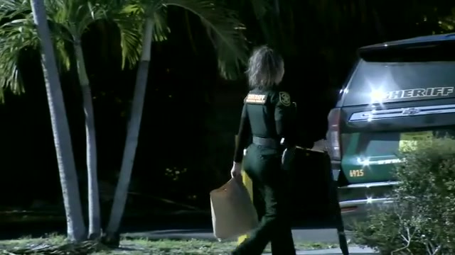 BSO: Woman fatally struck by hit-and-run driver - WSVN 7News | Miami News, Weather, Sports