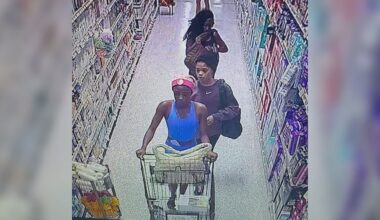 2 adults, 1 teen arrested in Martin County after deputies recover $8K worth of baby formula