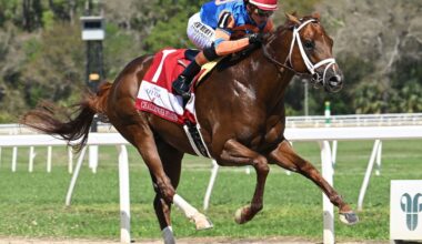 Disruptor Made Of Stern Stuff In GIII Challenger Stakes At Tampa