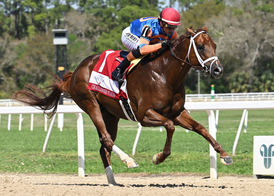 Disruptor Made Of Stern Stuff In GIII Challenger Stakes At Tampa