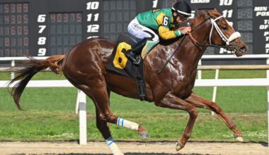 Mad House Flirts with Track Record on Seasonal Bow at Tampa