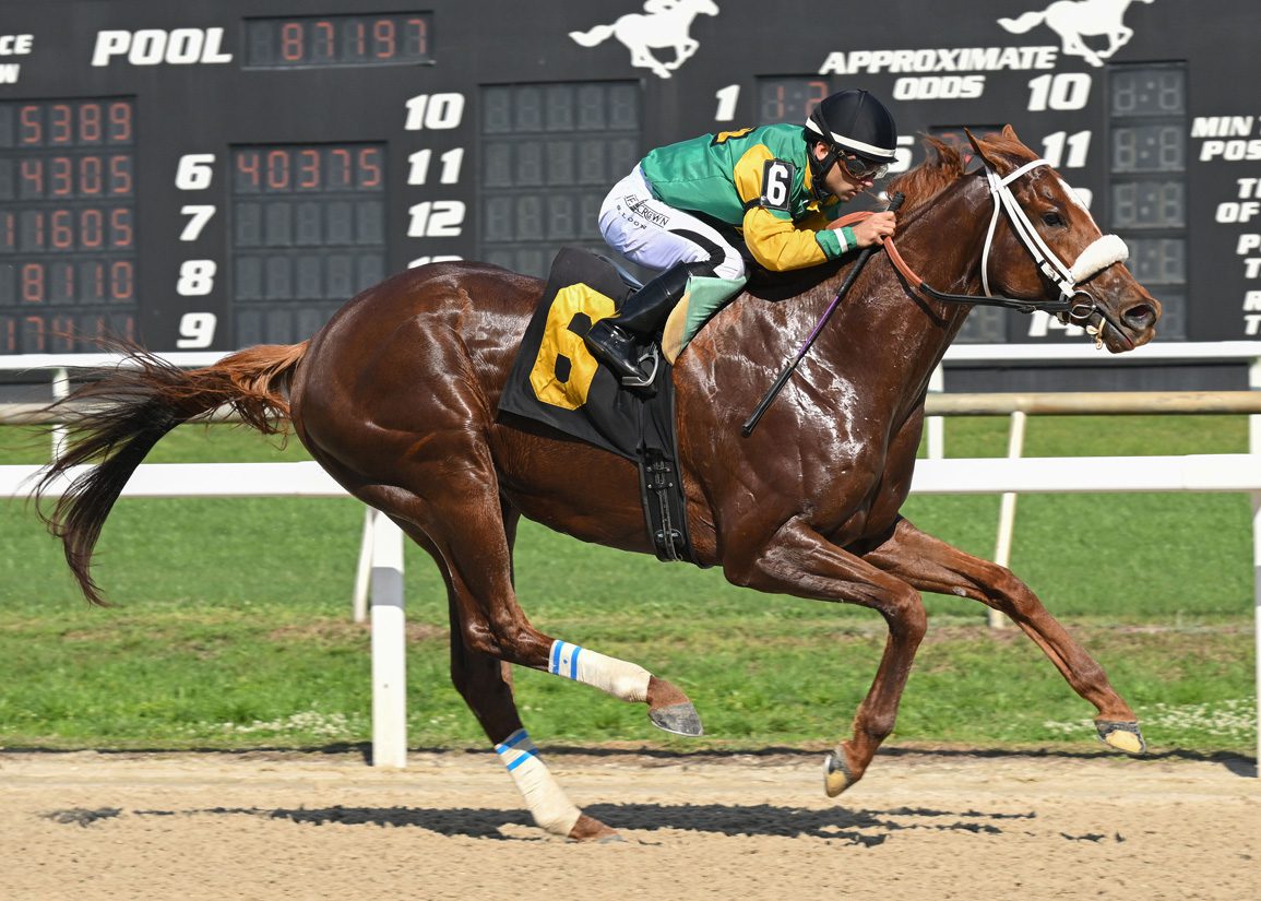 Mad House Flirts with Track Record on Seasonal Bow at Tampa