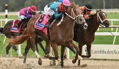 Notes & Quotes From G3 Tampa Bay Derby & Florida Oaks: The Puma & Dandona