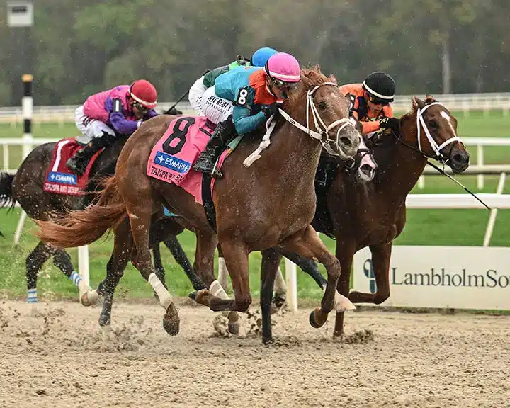 Notes & Quotes From G3 Tampa Bay Derby & Florida Oaks: The Puma & Dandona