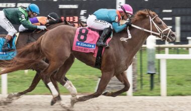 The Puma A Maiden No More In Tampa Bay Derby Win