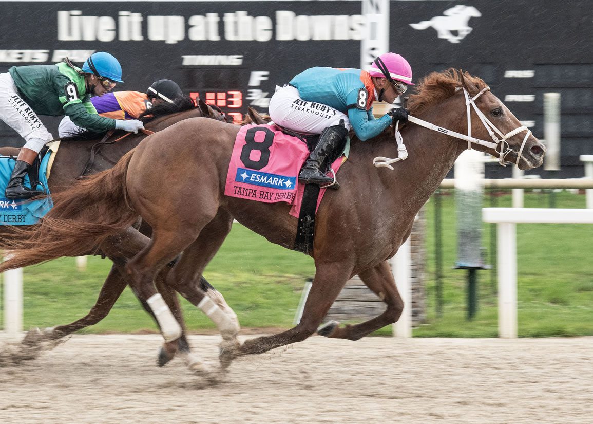 The Puma A Maiden No More In Tampa Bay Derby Win