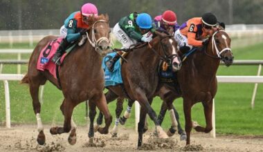 The Puma Pounces Late to Win Tampa Bay Derby
