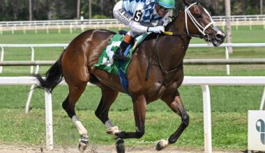Florida-bred Thoroughbred Mystic Lake, guided by jockey Flavien Prat, gallops to the wire at Tampa Bay Downs unchallenged, winning the 2026 Manatee Overnight Handicap. (Photo: ©SV Photography)